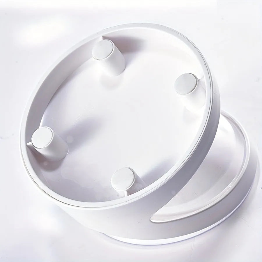 Clear white elevated cat food bowl with ergonomic tilt design for neck protection