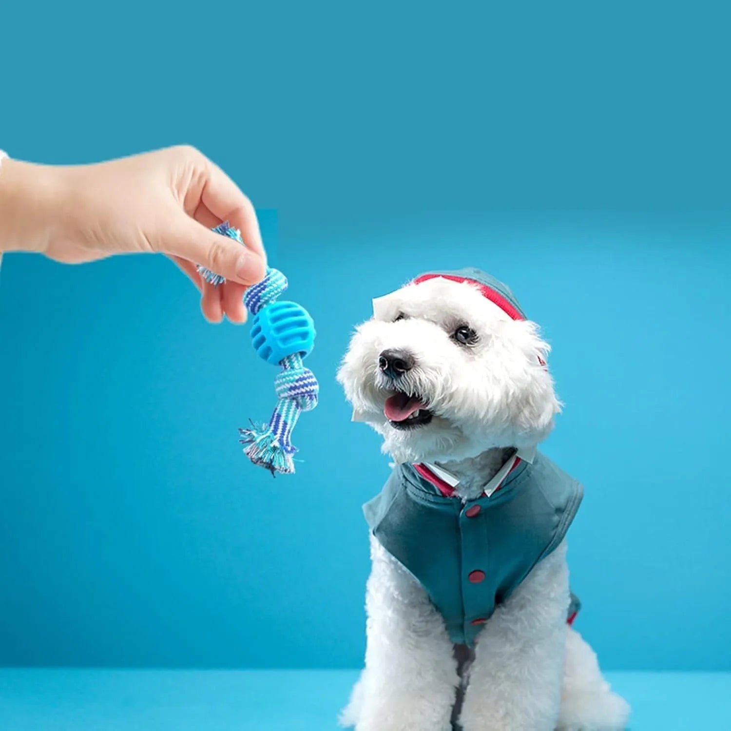 Blue dog chew toy with integrated rope strands for dental cleaning and play