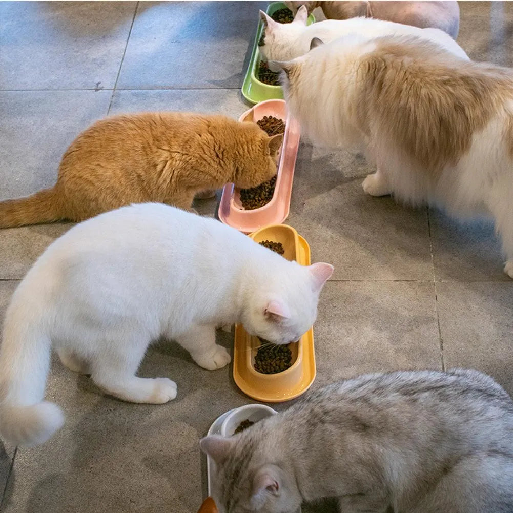 Leakproof pet bowl feeder set for cats and dogs in green pink and yellow colours