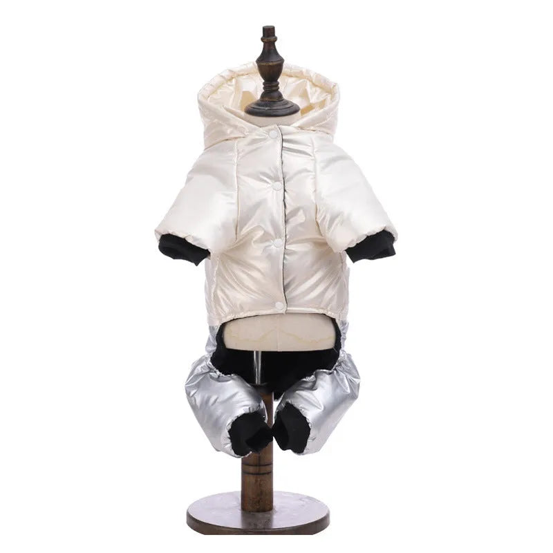 Green waterproof cotton-padded dog coat on a model dog, showing casual style and sizing.