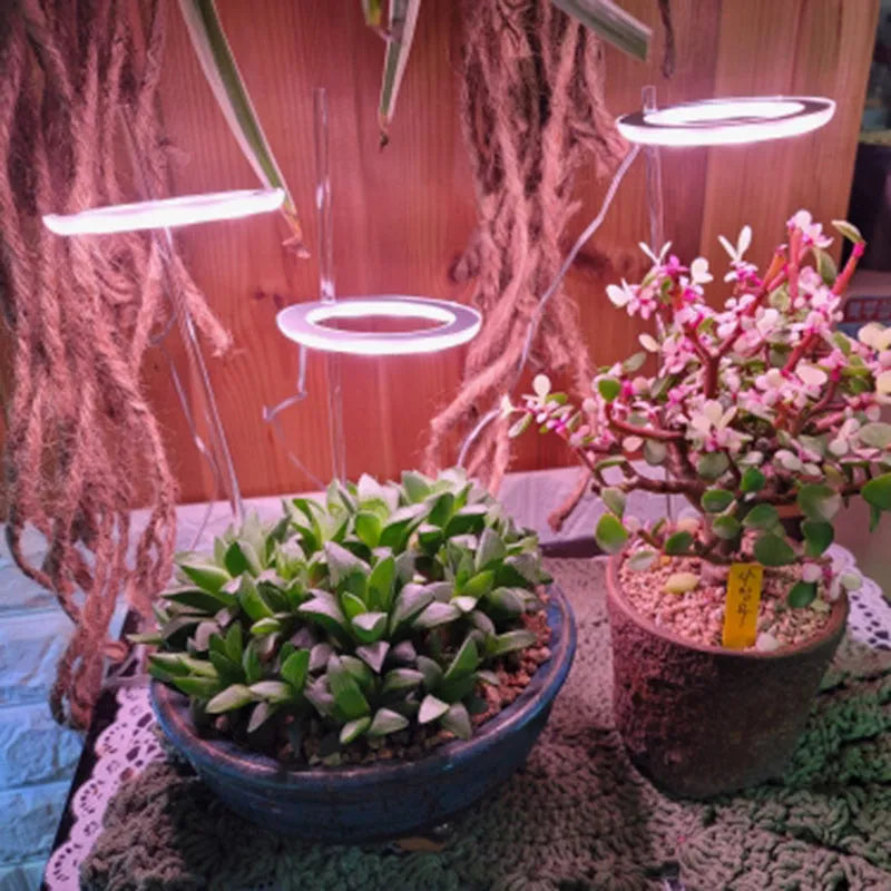 LED grow light full spectrum angel ring USB phytolamp for indoor plants