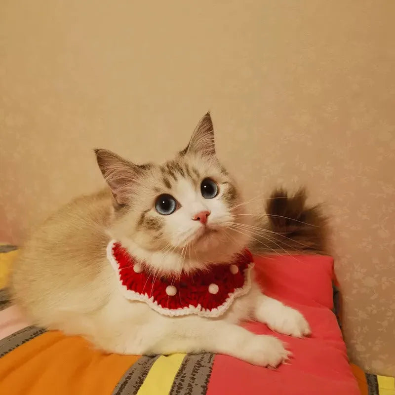 Milk cotton knitted pet collar with cartoon pattern, shown in customisable colours for XS, S, M, L sizes.