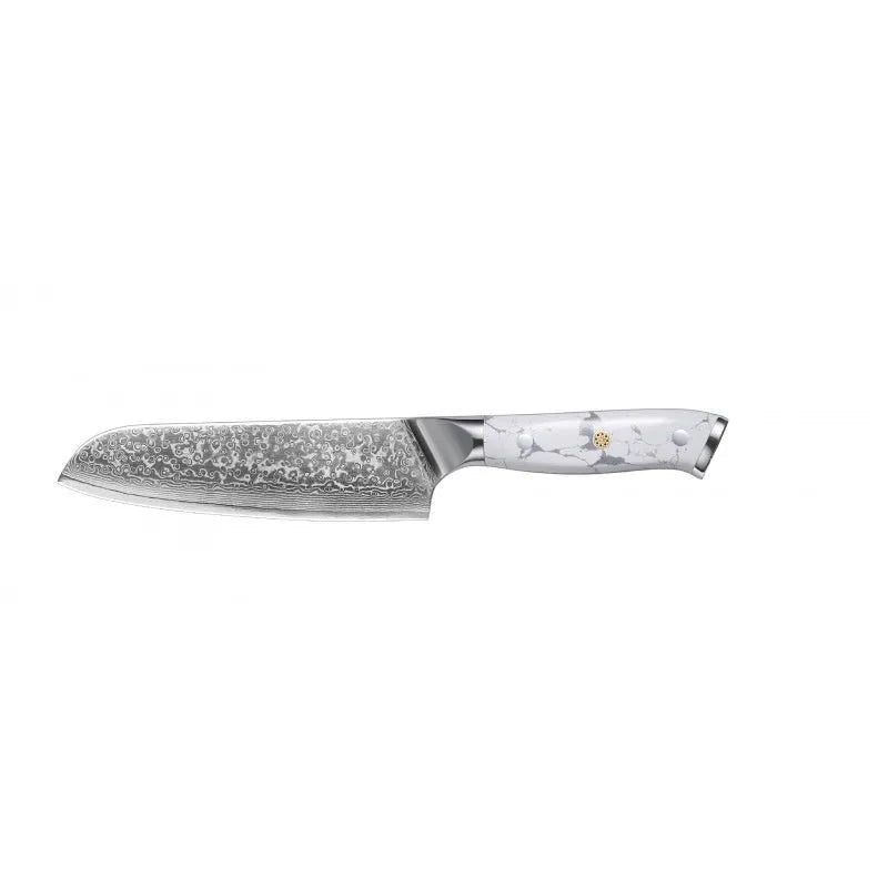 Damascus VG10 steel combined chef's knife with 21cm blade for multi-purpose kitchen use