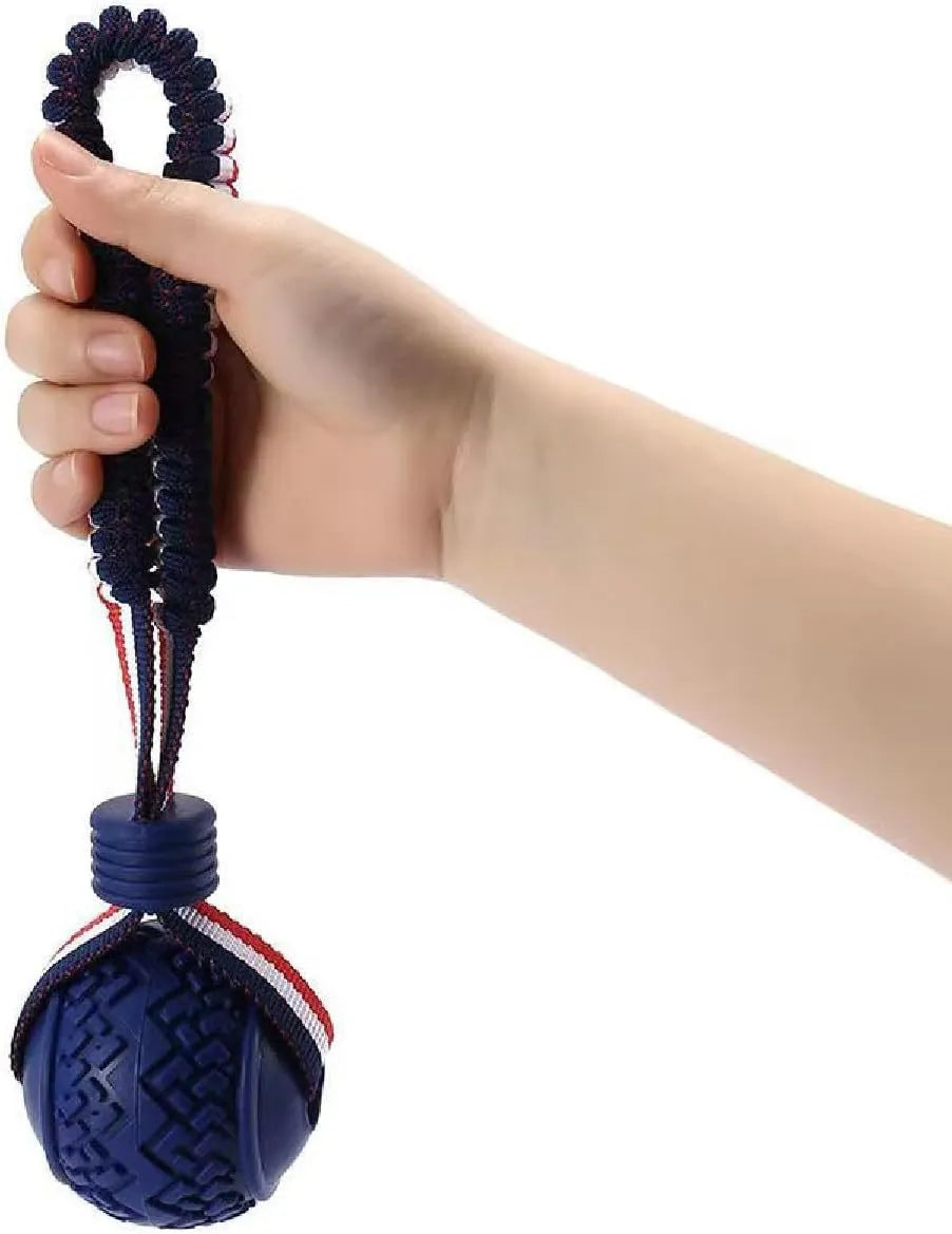 Blue dog toy with a textured rubber ball attached to a rope, shown on a white background.