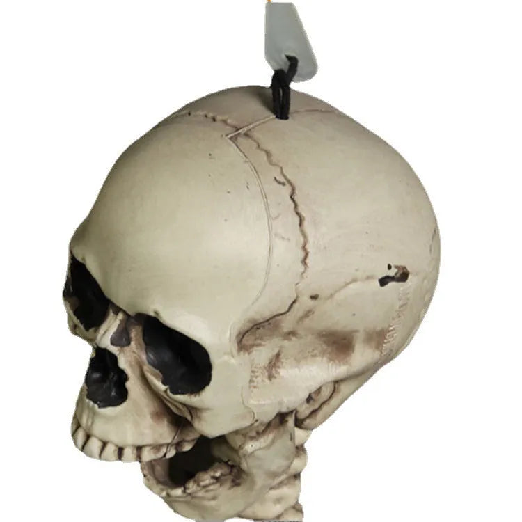 Full-size plastic skeleton prop standing 170cm tall with realistic bone structure