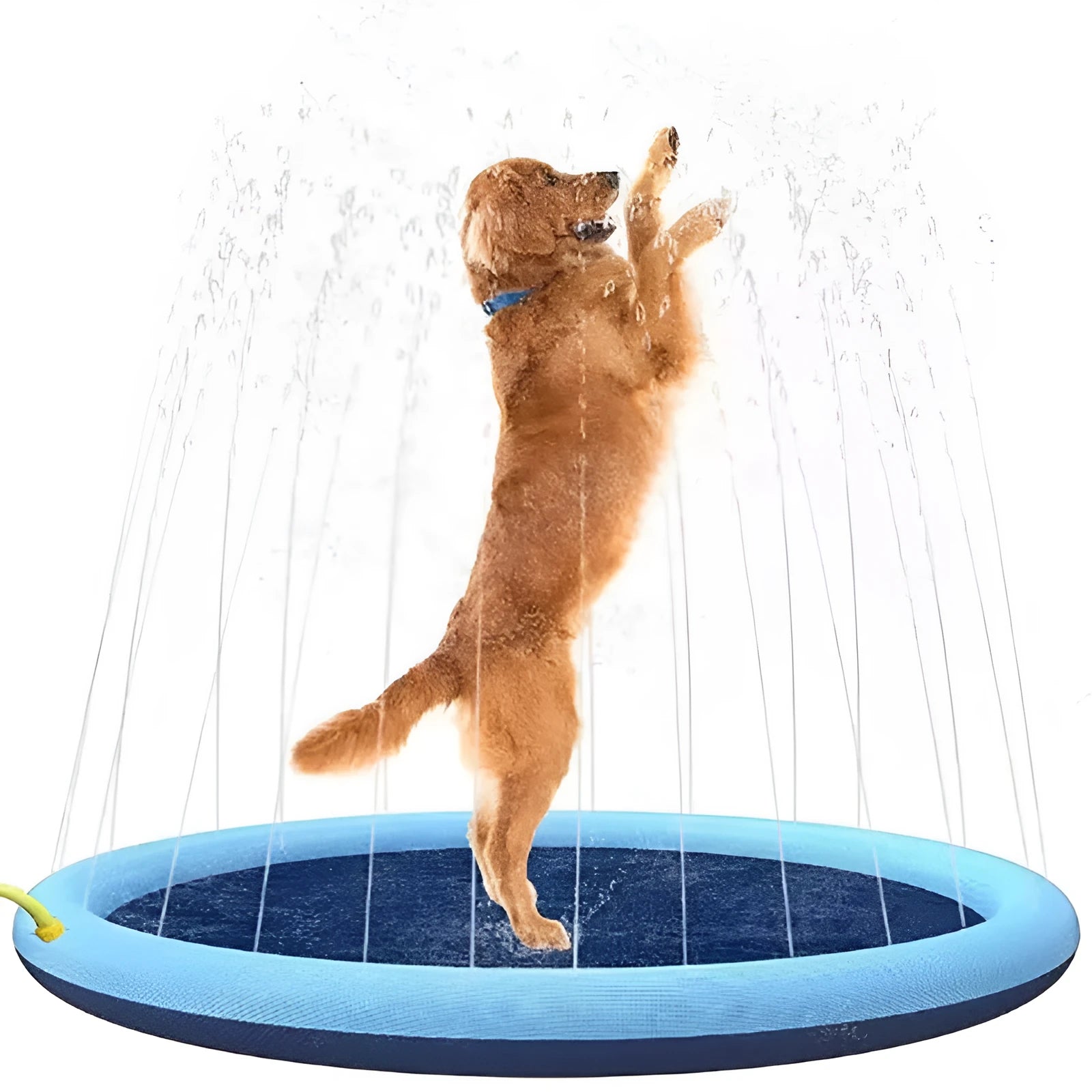 Anti-slip dog swimming mat splash pad in three size options for outdoor water play