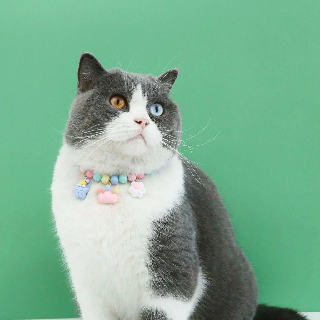 Colourful resin pearl pet collar necklace bracelet set in macaron colours with adjustable sizing