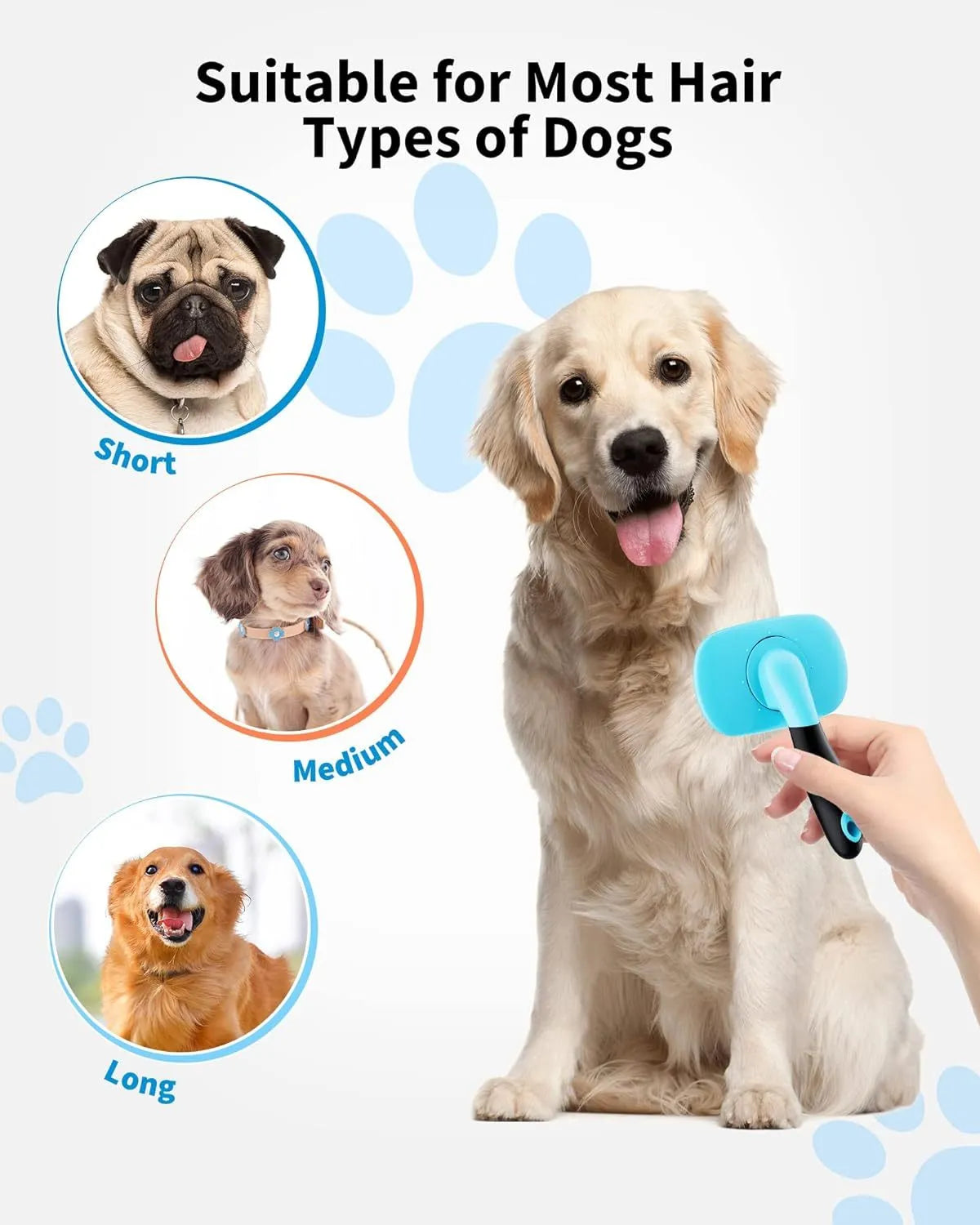 Rectangular pet grooming brush with stainless steel bristles and blue rubber handle on white background