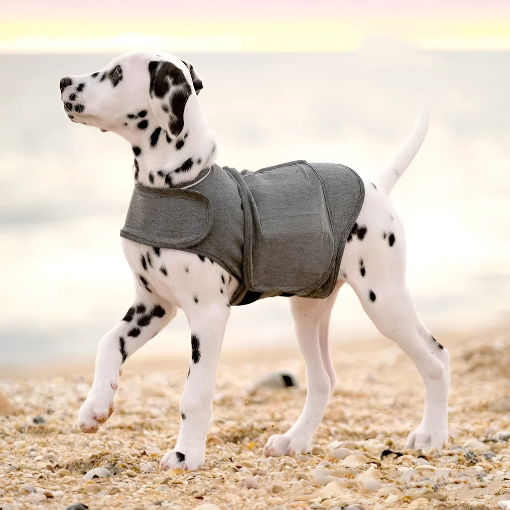 Heather grey brocade cotton ponte-de-roma dog anxiety and warm vest on a mannequin