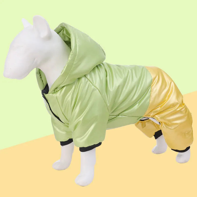 Green waterproof cotton-padded dog coat on a model dog, showing casual style and sizing.
