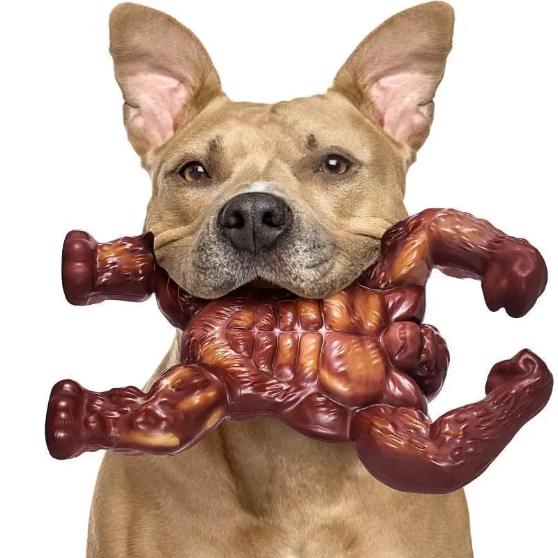 Scarlet-coloured nylon molar-shaped chew toy for dogs on a white background.