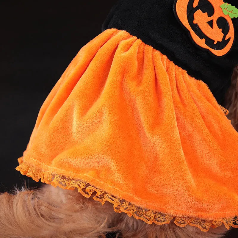 Halloween pet costume for small dog, shown as a crystal velvet pumpkin skirt and festive sweater.