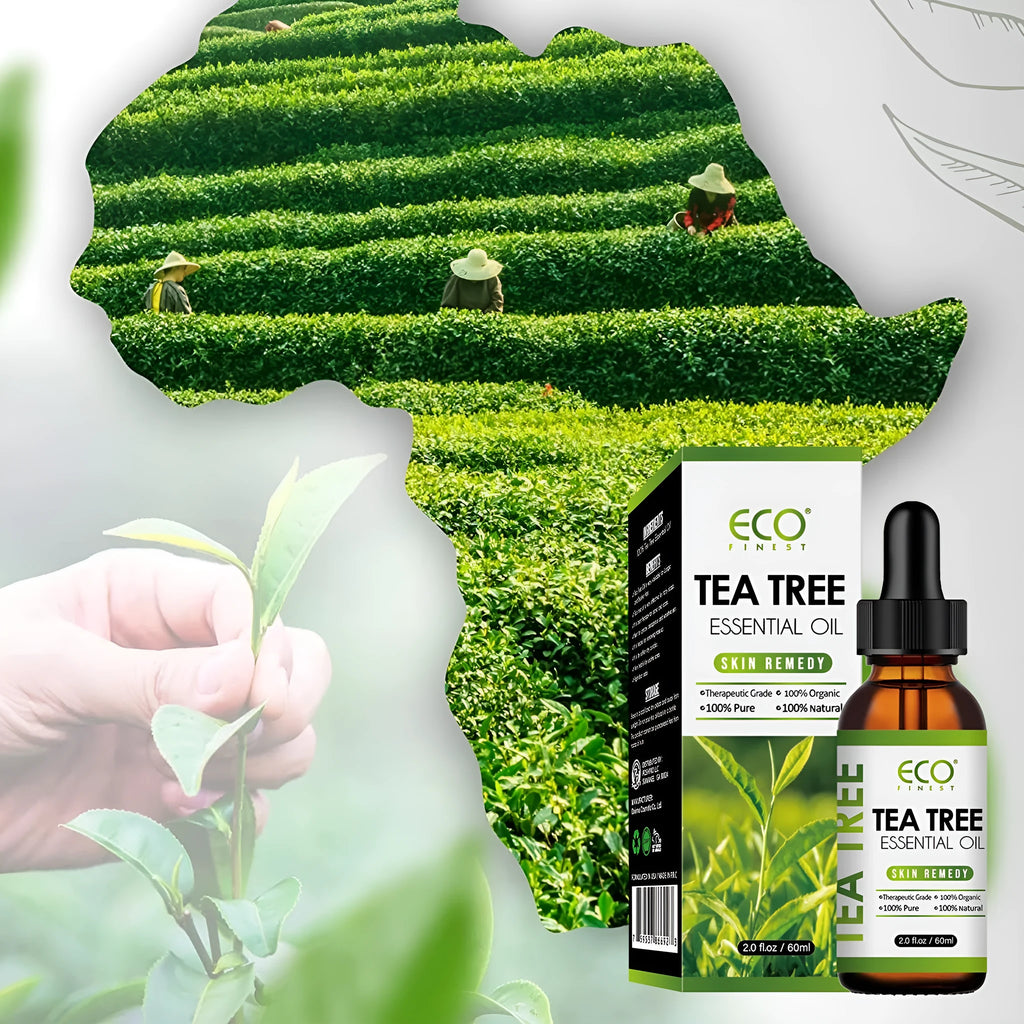60ml tea tree oil massage oil bottle for acne fade spot treatment natural skincare