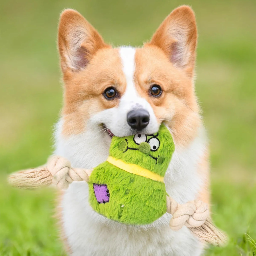 Green and purple interactive dog plush rope knot tug-of-war toy with molar teeth