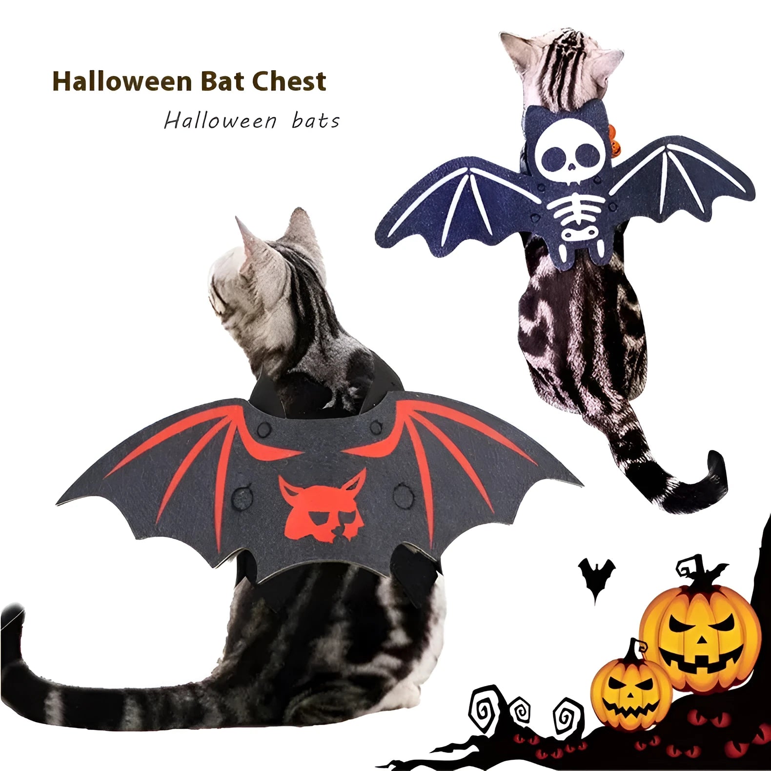 Halloween cat batwing felt costume in pumpkin bat colour on a cat