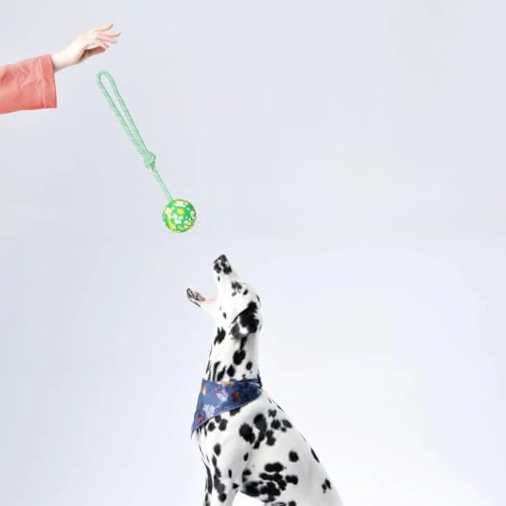 Natural rubber dog ball attached to a blue nylon rope for fetch and tug-of-war play.