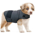 Dog wearing brocade cotton anxiety relief tank top in heather gray colour