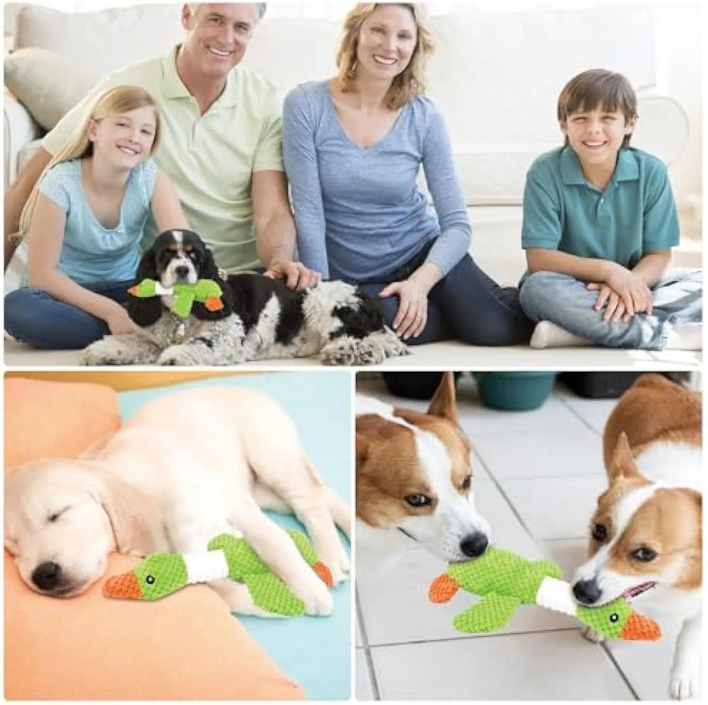 Blue plush duck dog toy with squeakers for large breed chewing play