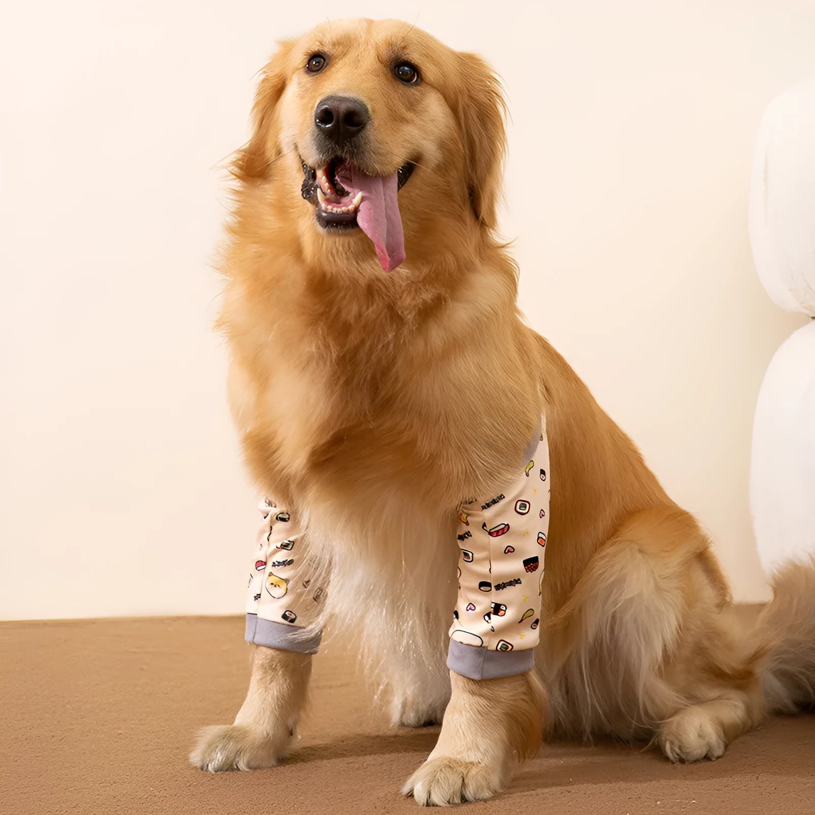 Dog wearing blue knee protector with extra-thick elbow padding and matching scarf