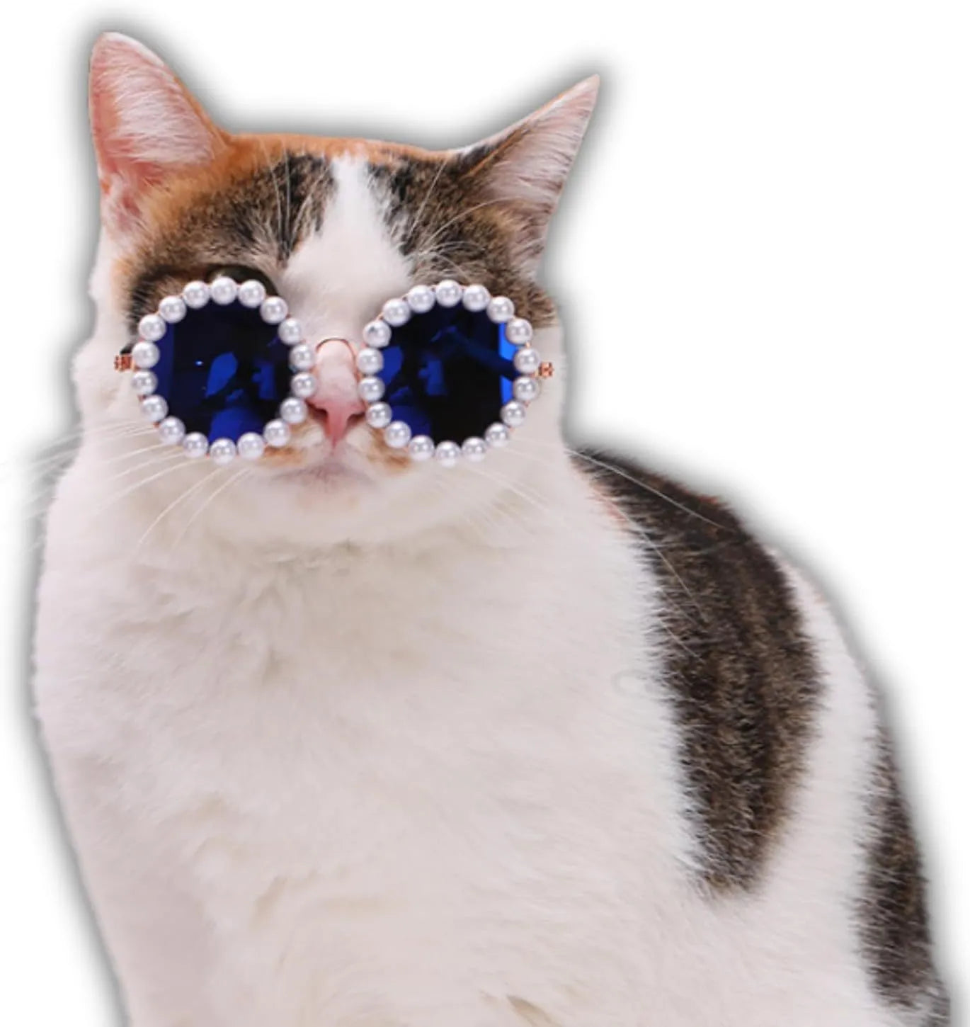 Cat and dog pearl rimmed round sunglasses in five colours black blue coffee orange purple with two sizes 8cm and 11cm