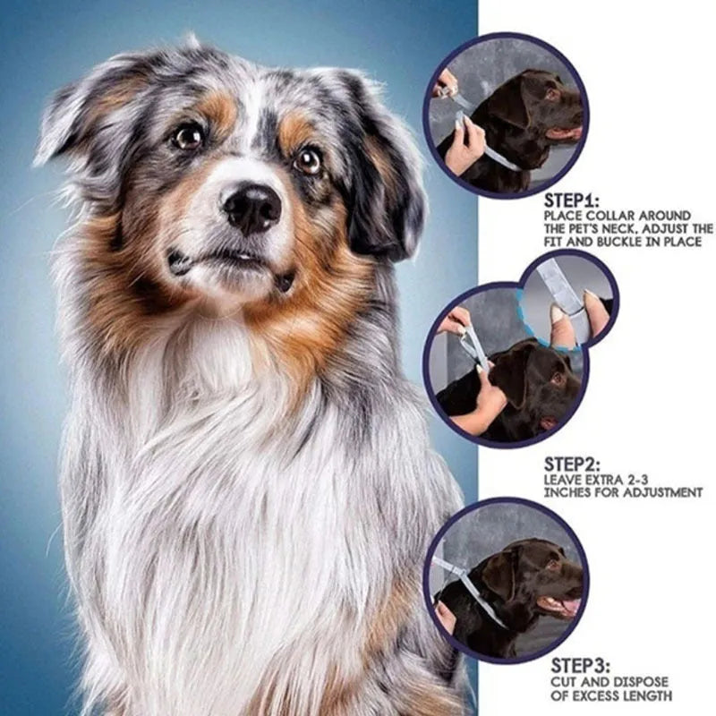 Rainbow plastic flea collar for cats and dogs in 38cm and 62cm sizes