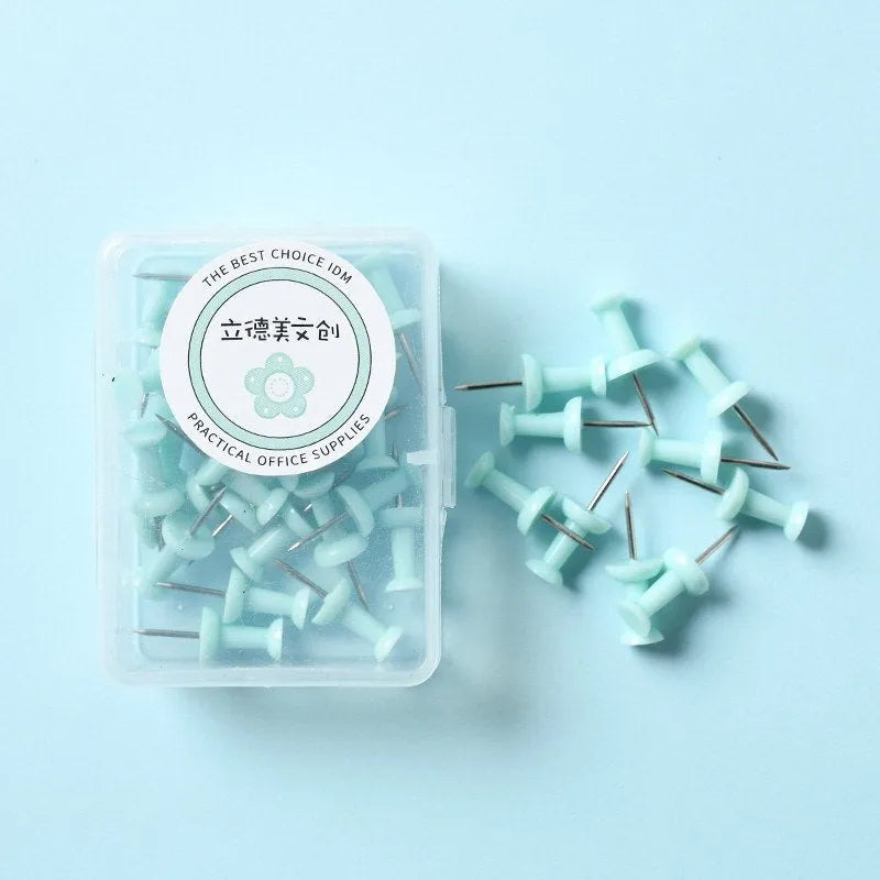 Boxed set of macaron colour plastic push pins in cherry blossom powder, mint green, and lavender, including small and large sizes