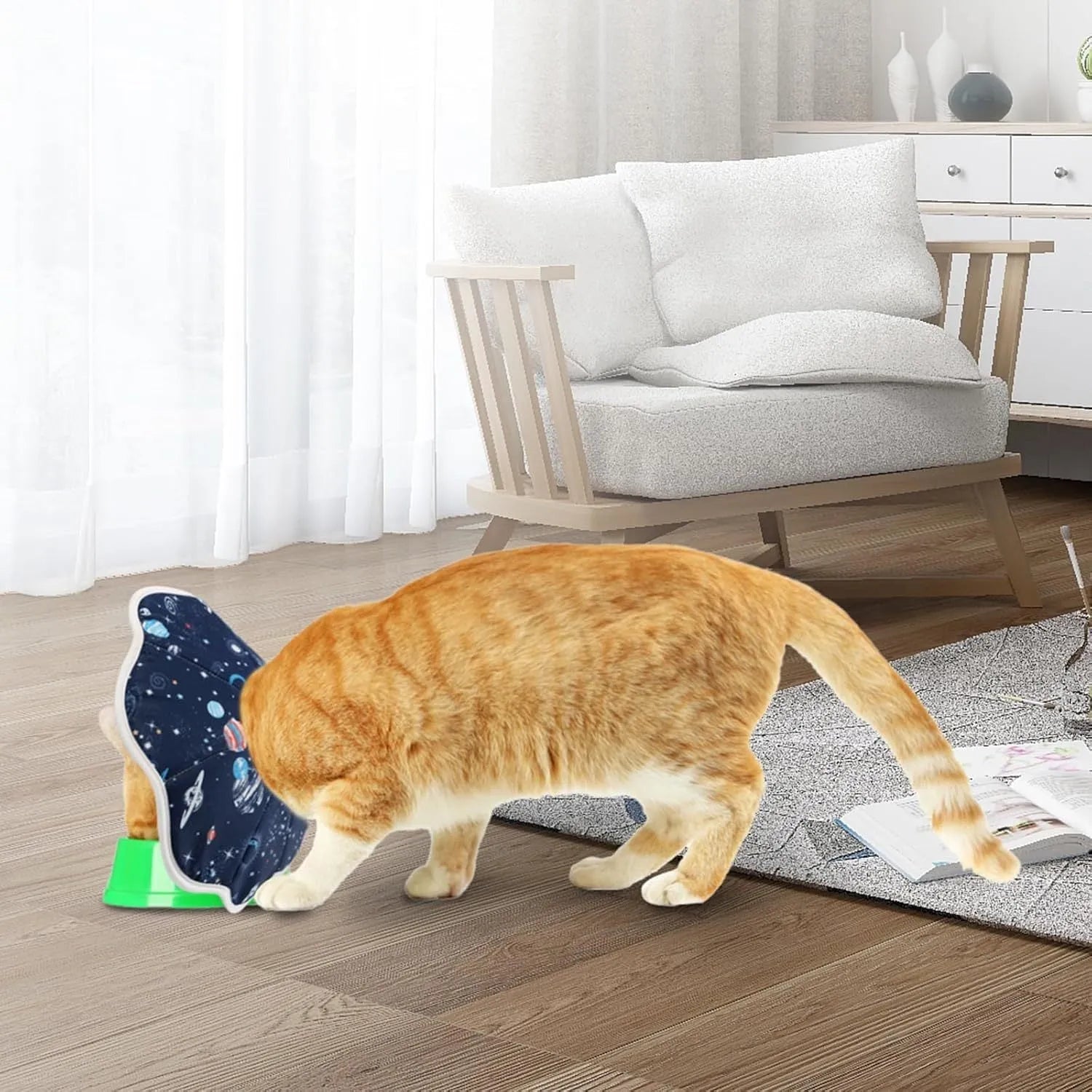 Soft cat recovery collar in Constellation pattern on a small cat resting after surgery