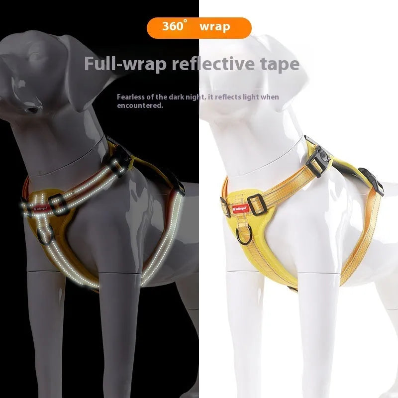 Polyester dog harness and lead set in multiple colours including black, red and blue