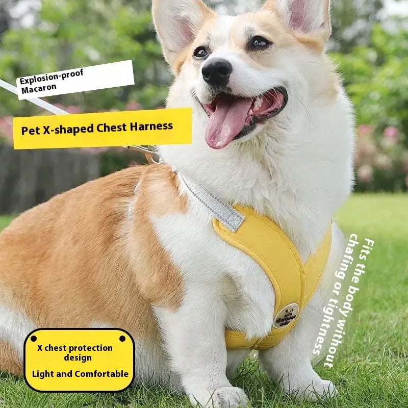 A colourful dog walking vest harness with an attached lead rope, shown in blue, green, pink, or yellow.