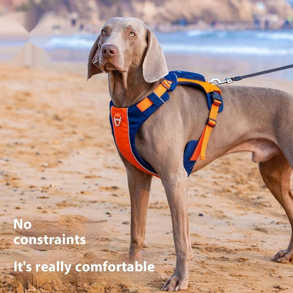 Orange blue nylon dog chest strap vest style with chain ring on neutral background