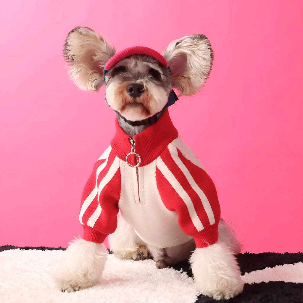 Puppy dog sports sweater cardigan in wool, dark green and red colours, available in sizes S to XXL