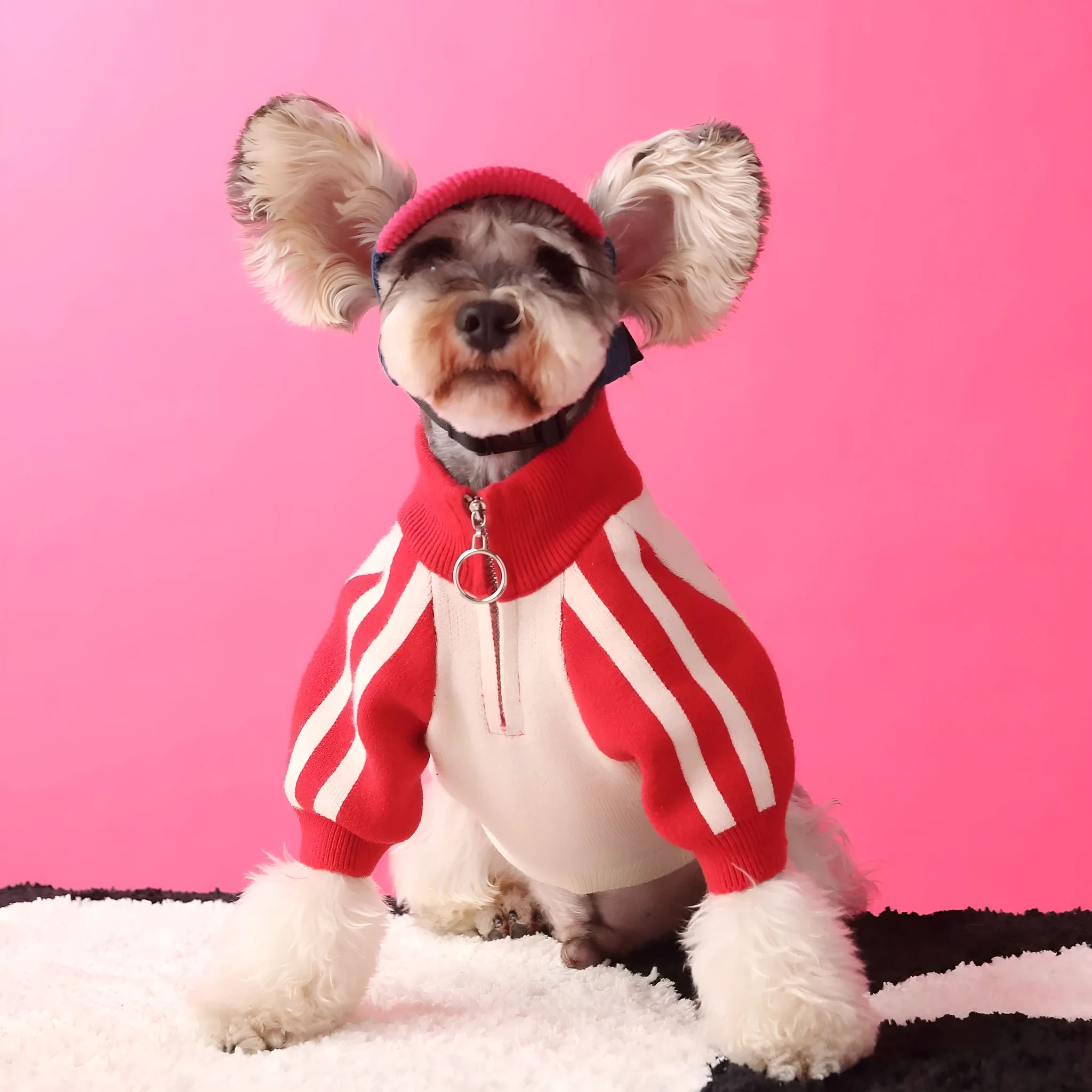 Puppy dog sports sweater cardigan in wool, dark green and red colours, available in sizes S to XXL