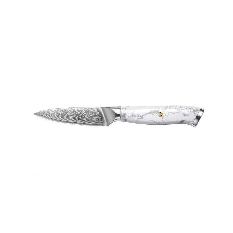 Damascus VG10 steel combined chef's knife with 21cm blade for multi-purpose kitchen use