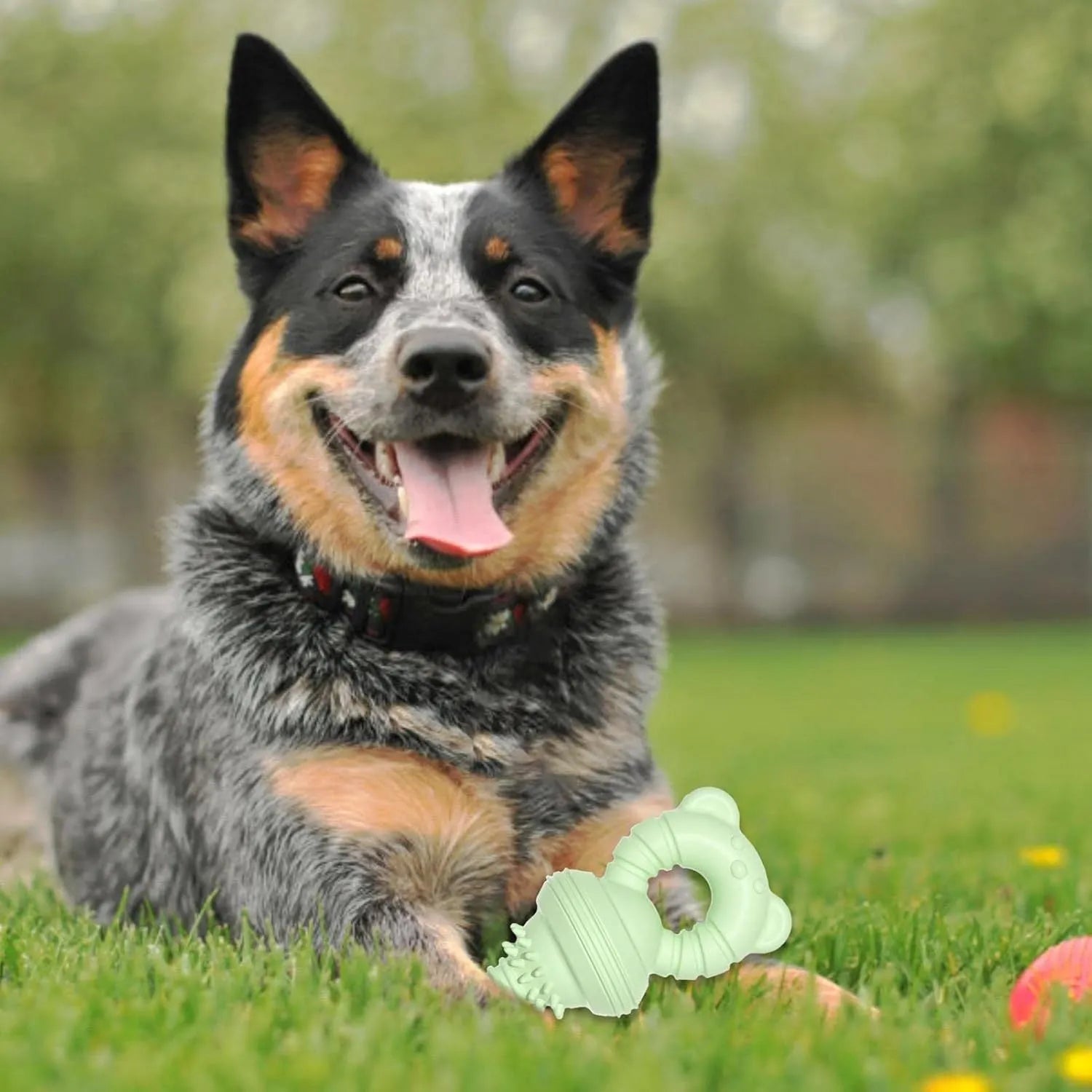 Blue rubber dog chew toy with concave-convex texture for teeth cleaning, 13.5cm size