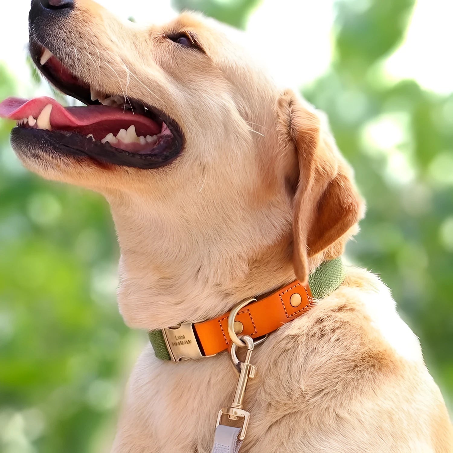 Small mohair dog collar and leash set in green with embroidered lettering, shown on a size tag.