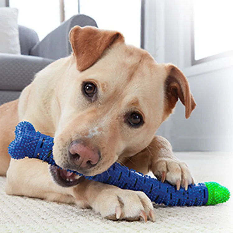 Blue-green dog molar tooth cleaner with serrated brush head design and silicone massage nodules
