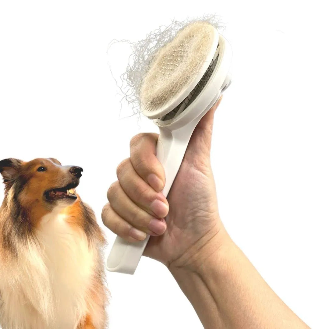 Self-cleaning slicker brush for pet grooming with blue handle and stainless steel pins