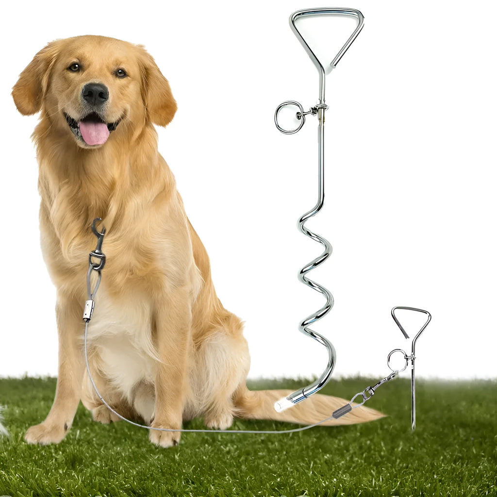 Silver spiral dog tie out stake made of solid steel for outdoor tethering in sandy soil