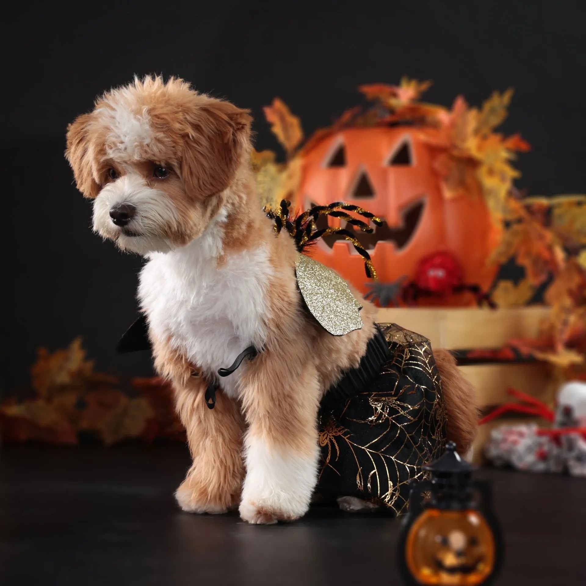 Halloween dog costume suit in polyester fabric showing complete pet clothing for canine dress-up
