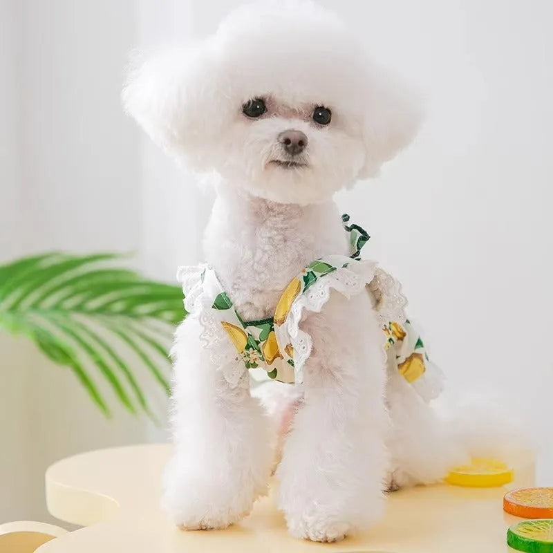 Dog clothes thin breathable strap skirt in rock yellow lemon, polyester, princess style for small dogs