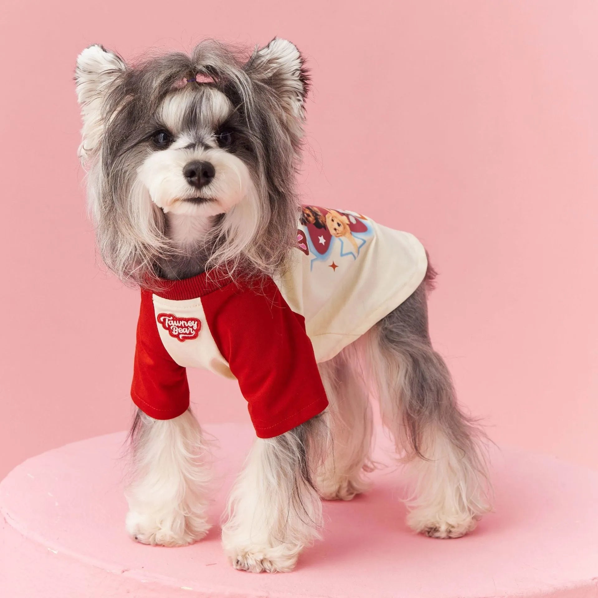 Cotton dog summer shirt with embroidery in red or pink, showing size range XS to XXL
