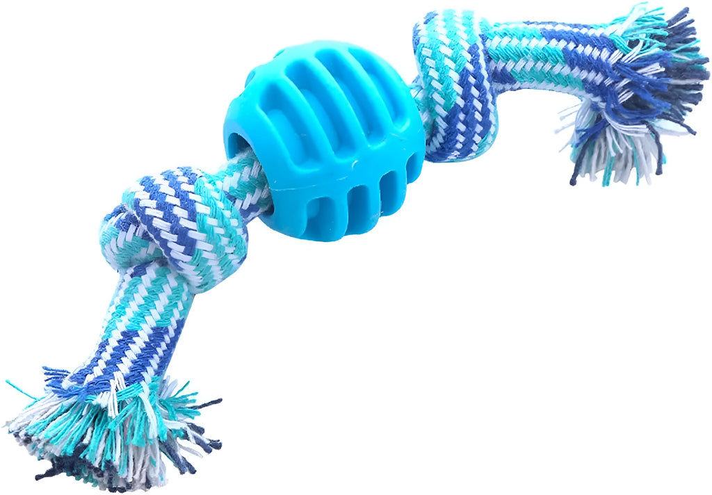 Blue dog chew toy with integrated rope strands for dental cleaning and play