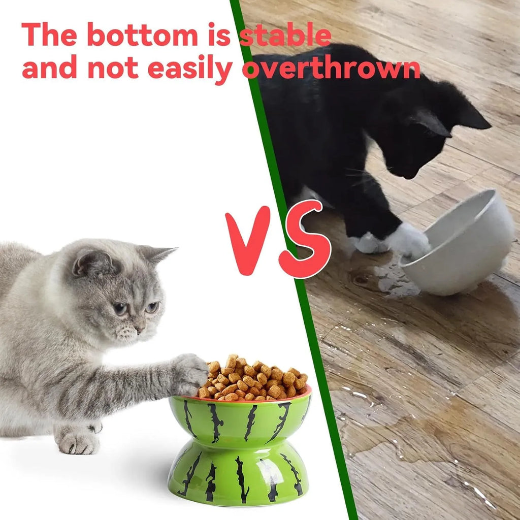 Ceramic raised cat bowl in orange colour with tilted design and patterned detail on a non-slip base