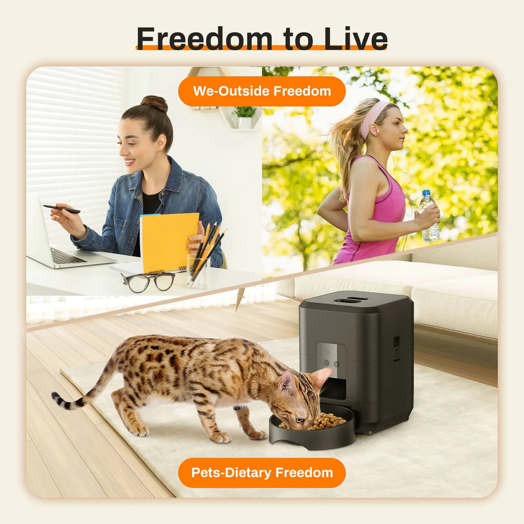 Pet intelligent automatic cat feeder with white button control and power supply options