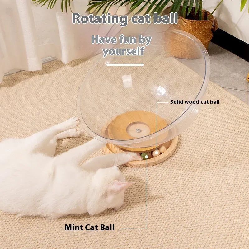 Transparent acrylic cat space capsule bathtub bed cage with multiple size options