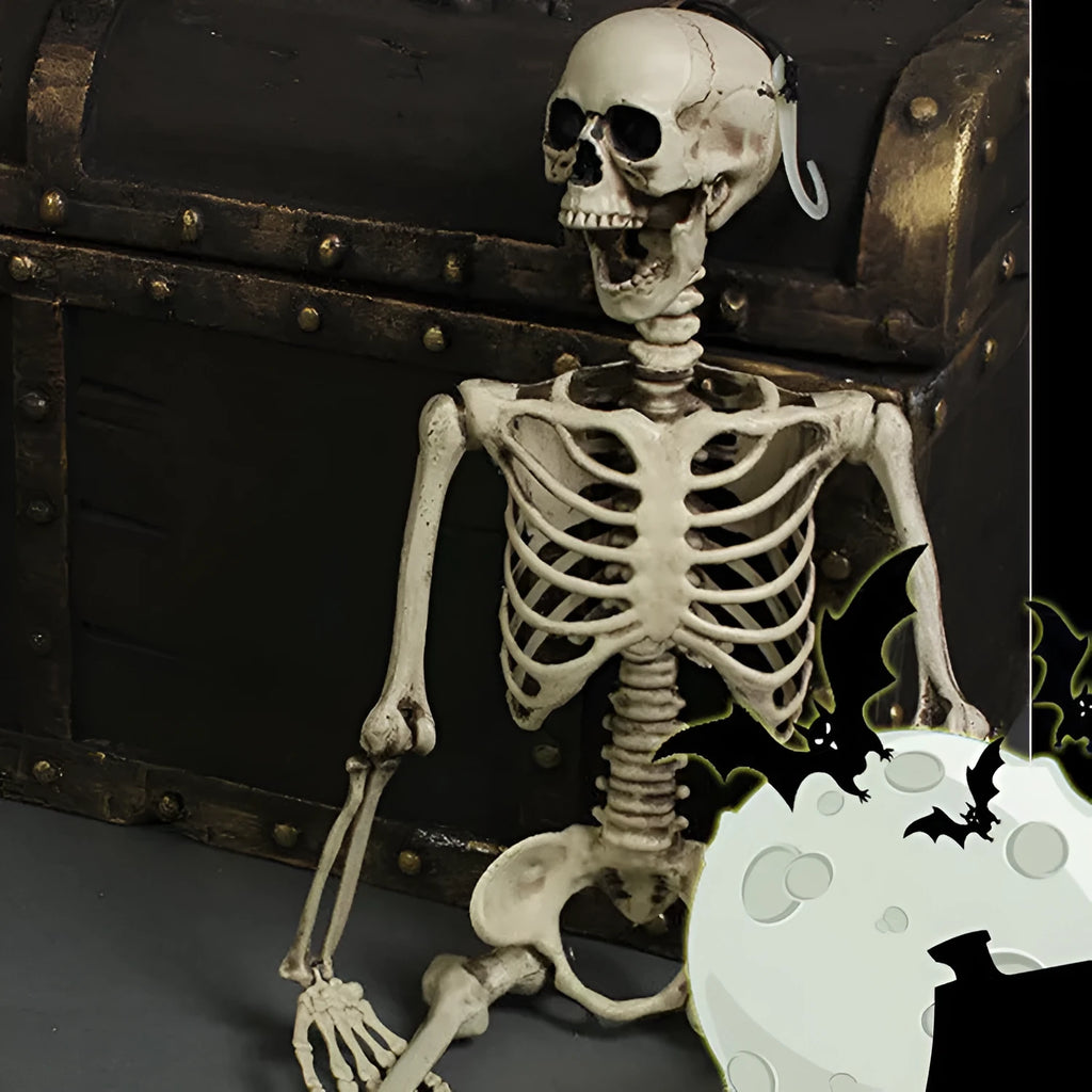 Full-size plastic skeleton prop standing 170cm tall with realistic bone structure