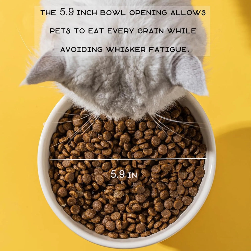 Raised ceramic cat bowl with animal design in pink, yellow, or white, showing wide feeding surface and elevated base.