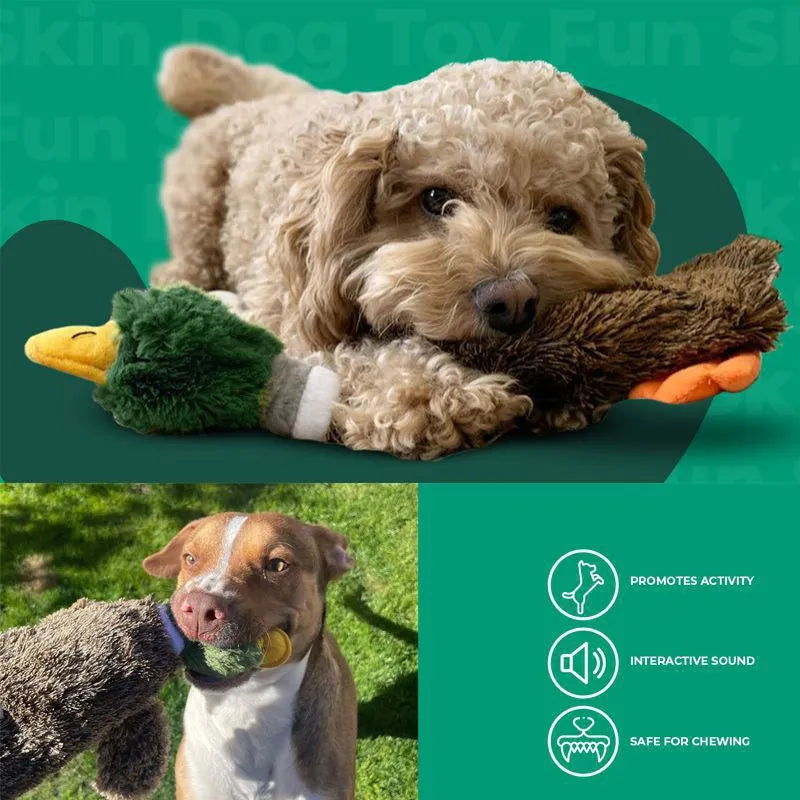 Green duck-shaped stuffless dog toy with squeakers and bottle insert opening