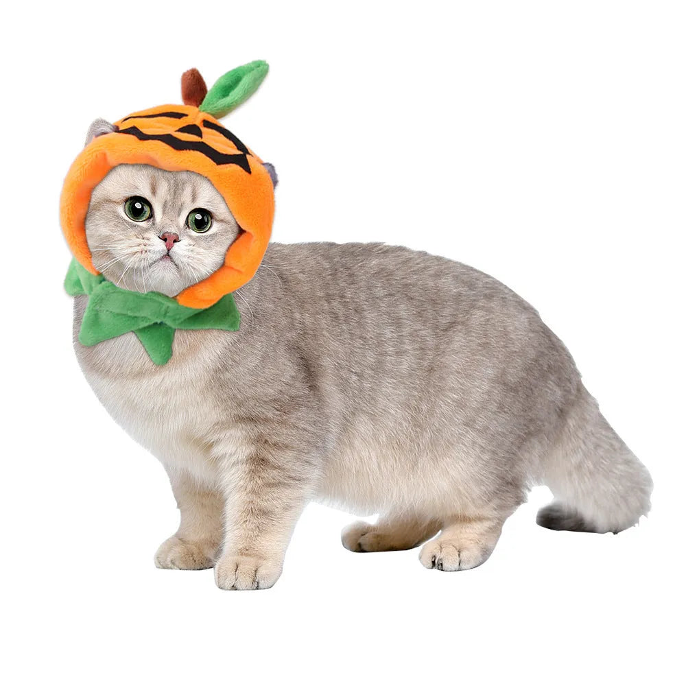Double-sided Halloween pumpkin plush pet cloak for dogs and cats in B05401 colour