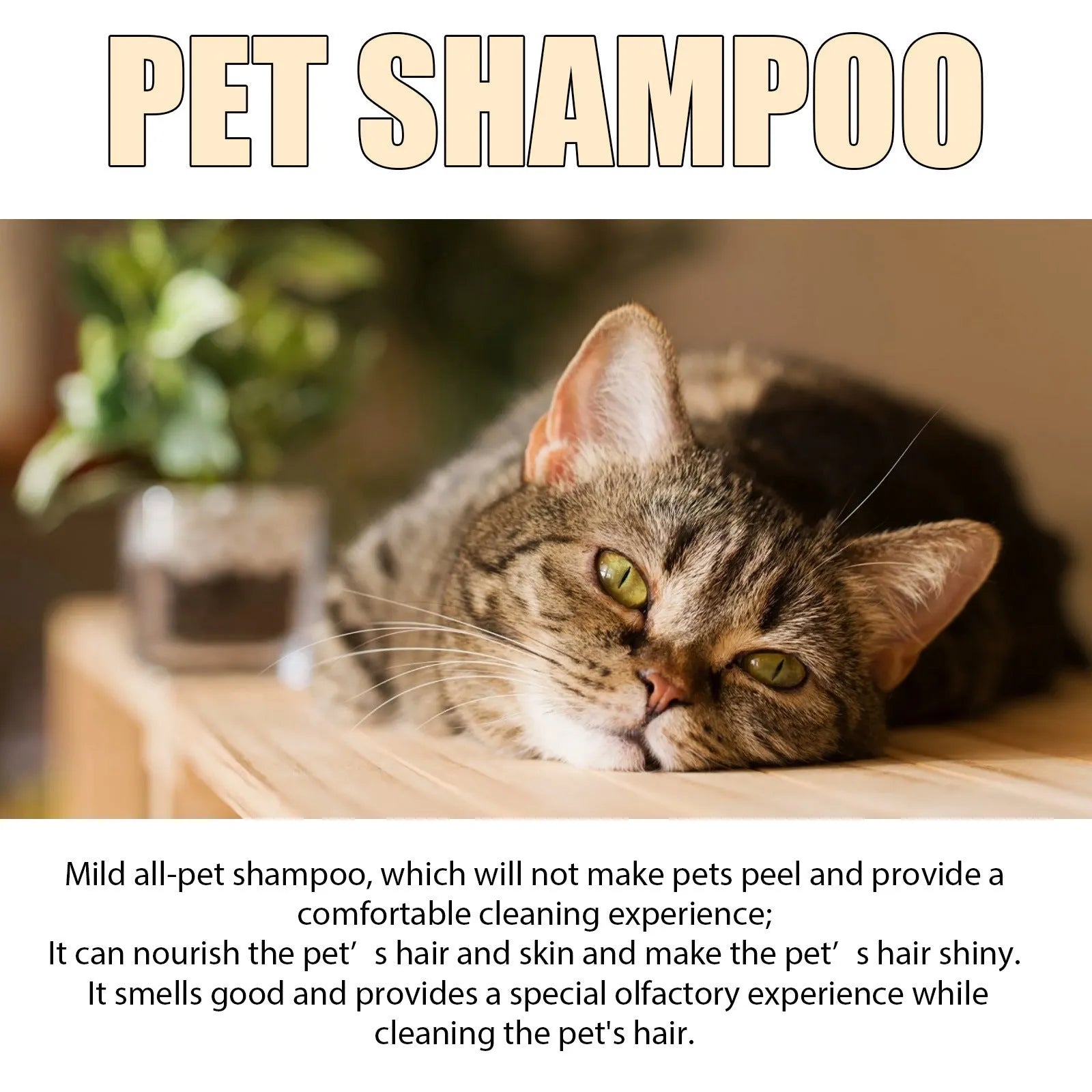 Bottle of mild dog shampoo for soft, clean hair, shown in 100ml and 300ml sizes.